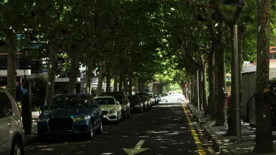 Tree-lined