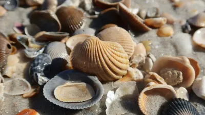 Close-up