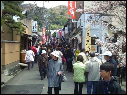 Along the Philosopher's Walk in Kyoto.