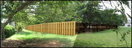 Image: Fenced in.