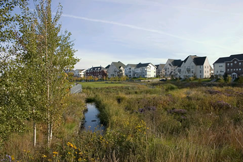 Photo: stormwater catchment area next to a new housing suburb