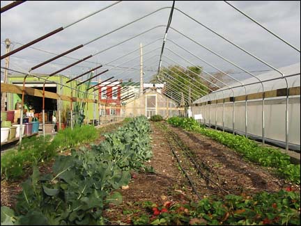 Photo: Greensgrow Farms