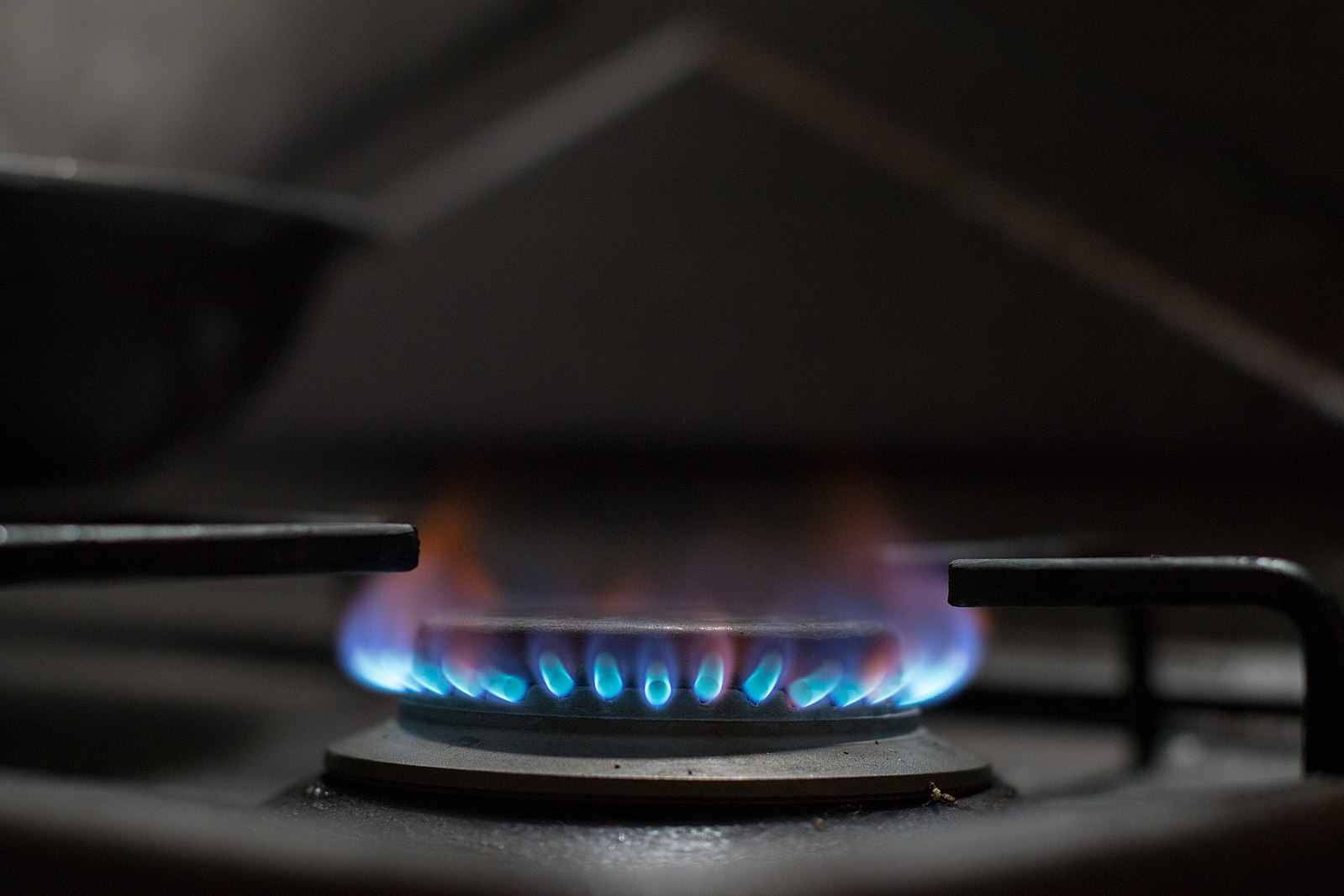 Court Ruling Overturns Berkeley’s First-Ever Natural Gas Ban in the Nation Court Ruling Overturns Berkeley’s First-Ever Natural Gas Ban in the Nation