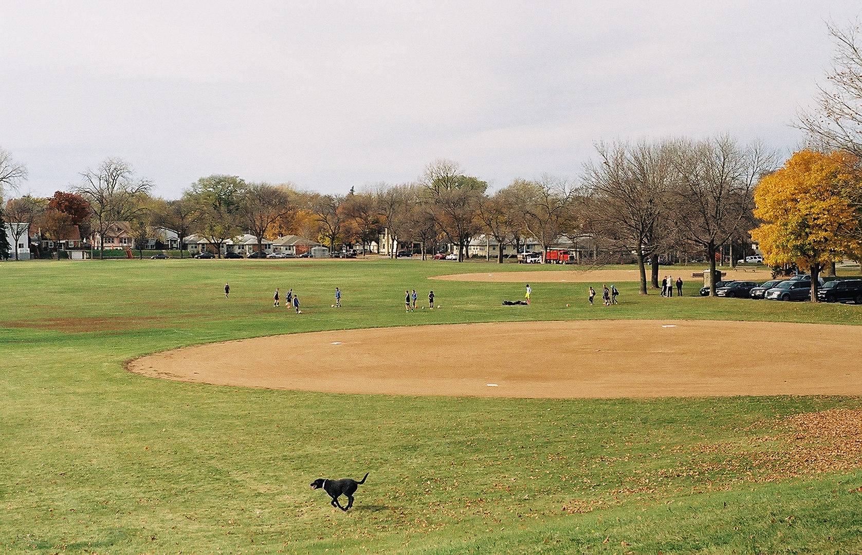 Changing Tastes Push Minneapolis' Parks From Baseball to Soccer