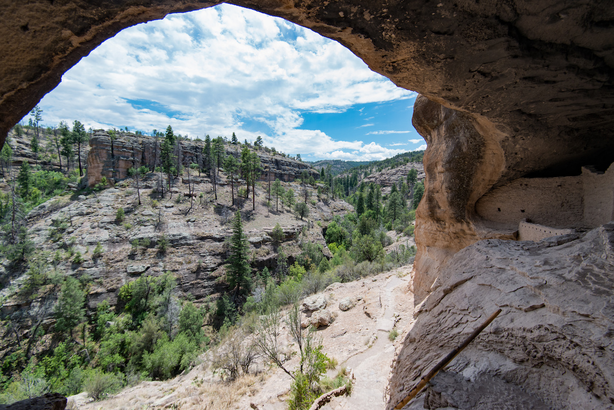 The Changing Nature of Wilderness - Vimarsana News
