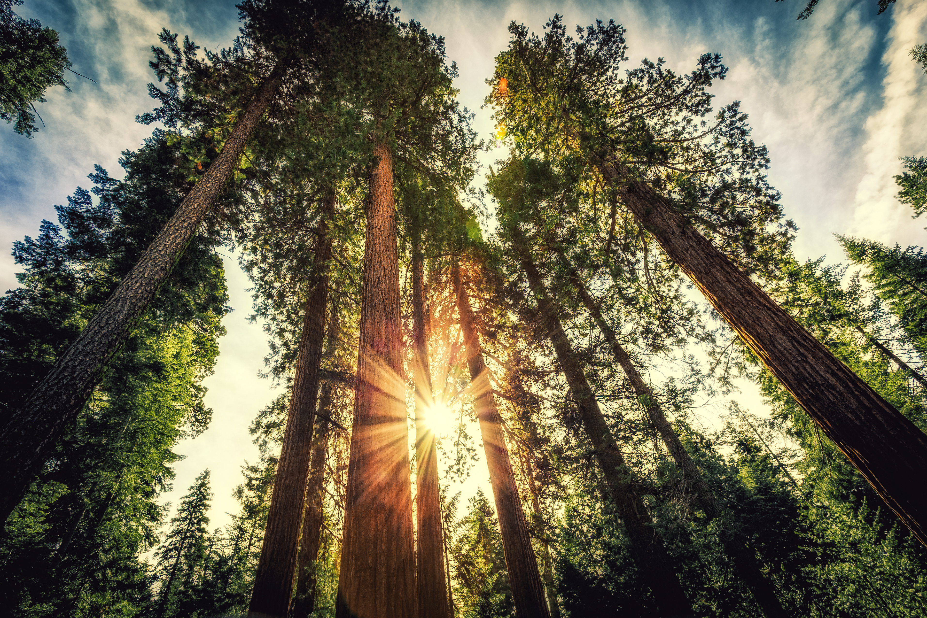 Public Lands in the United States, Part One: “Redeemed From Wilderness”