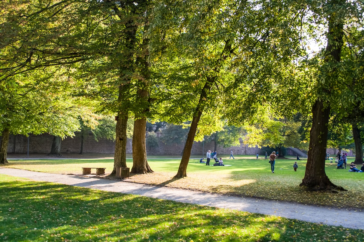 Advancing Sustainability and Resilience Through Parks | Planetizen News