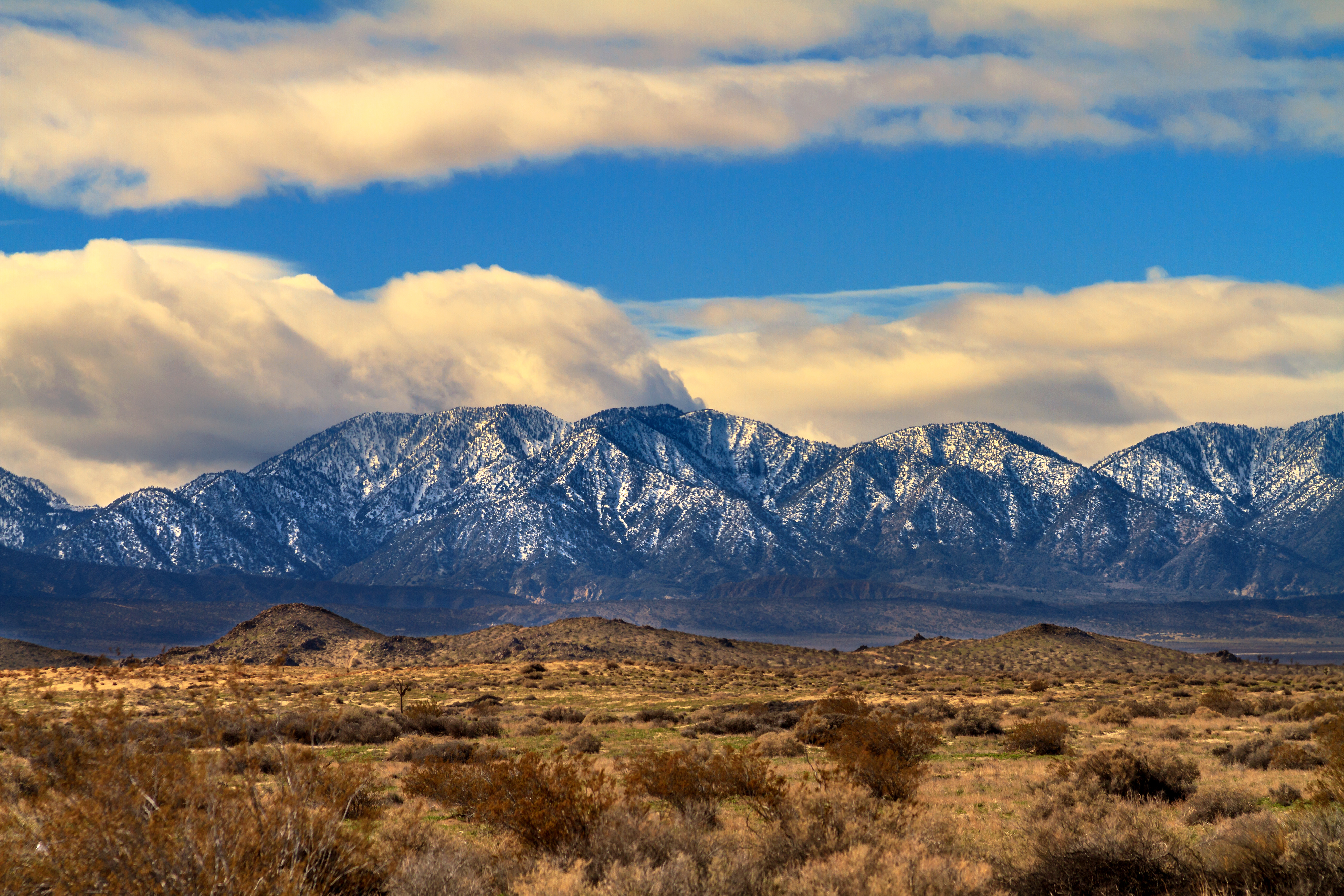 Growing Support for Expanding the San Gabriel Mountains National Monument - Vimarsana News