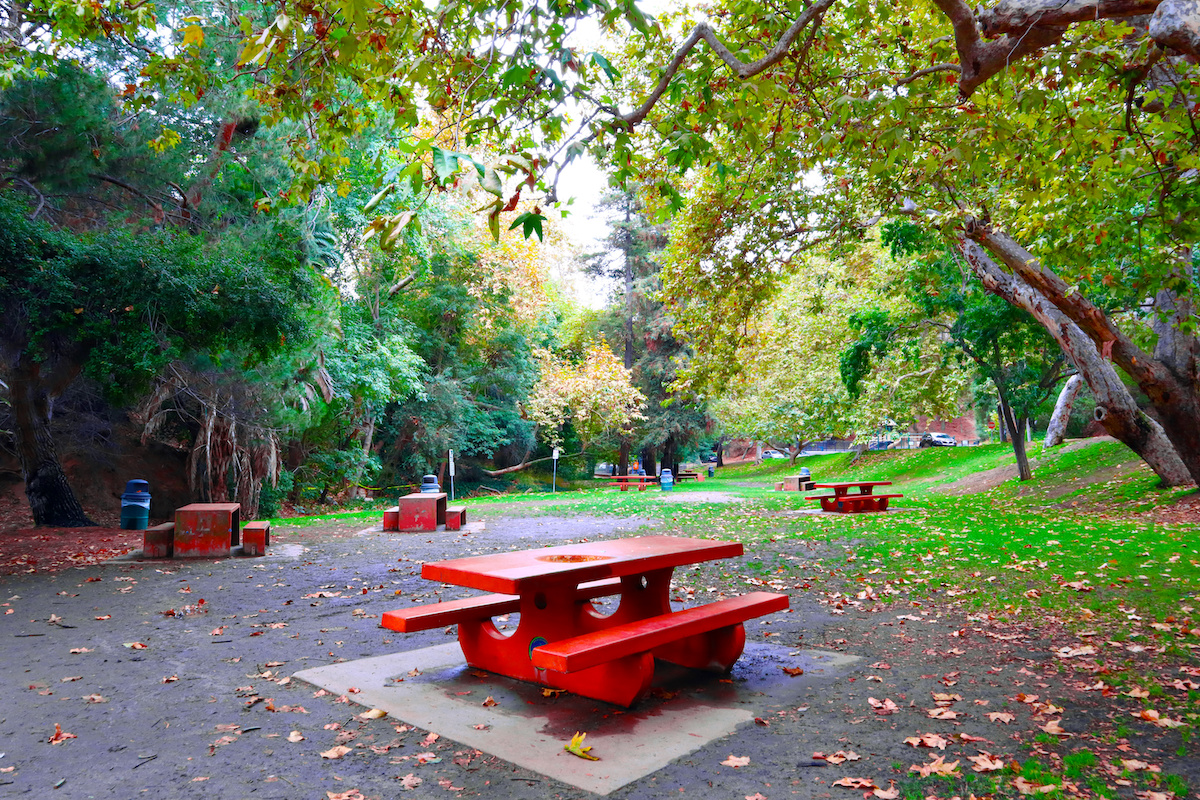 Healing Neighborhoods Through Park Equity - Vimarsana News