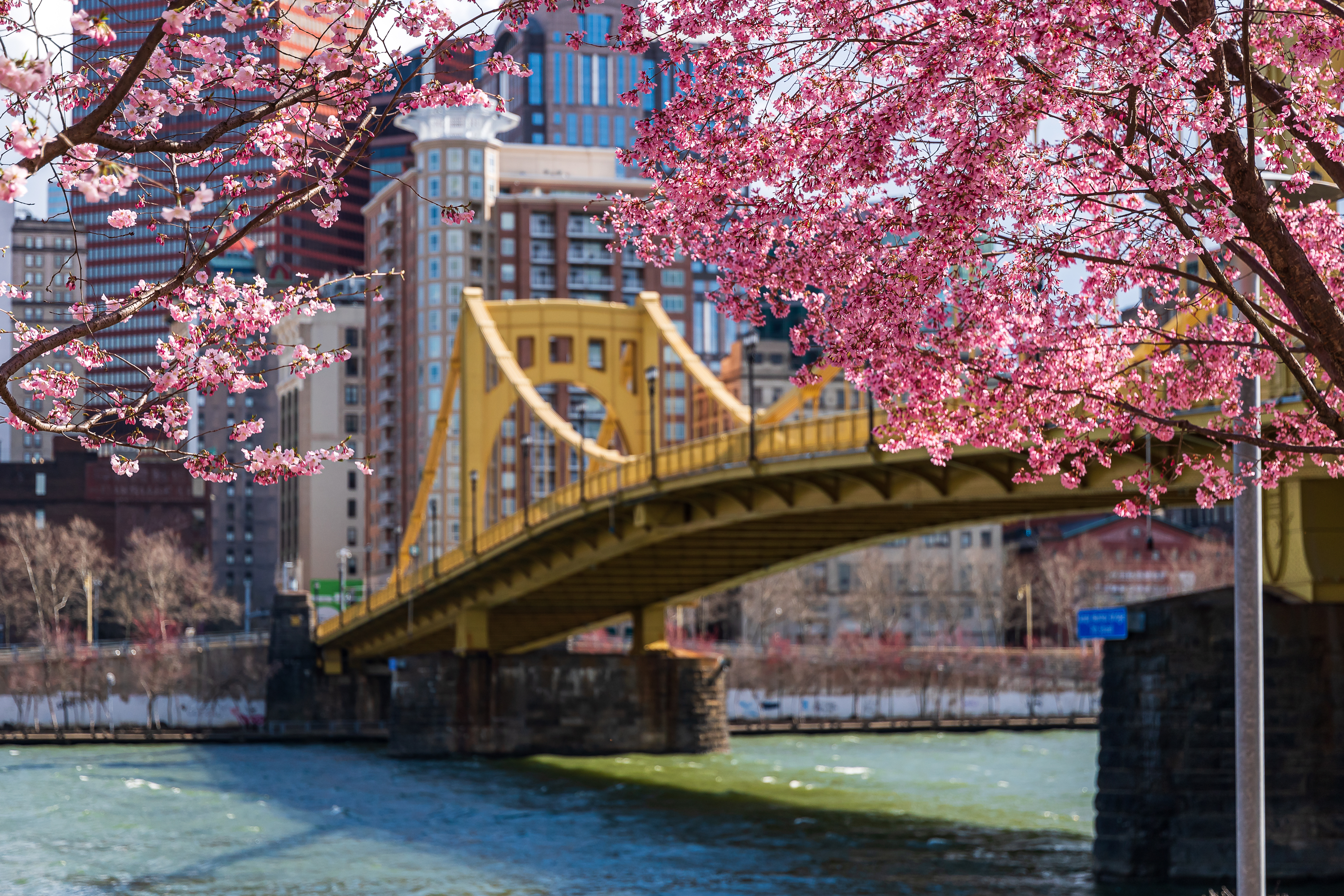 Pittsburgh Launches New Comprehensive Plan Process - Vimarsana News