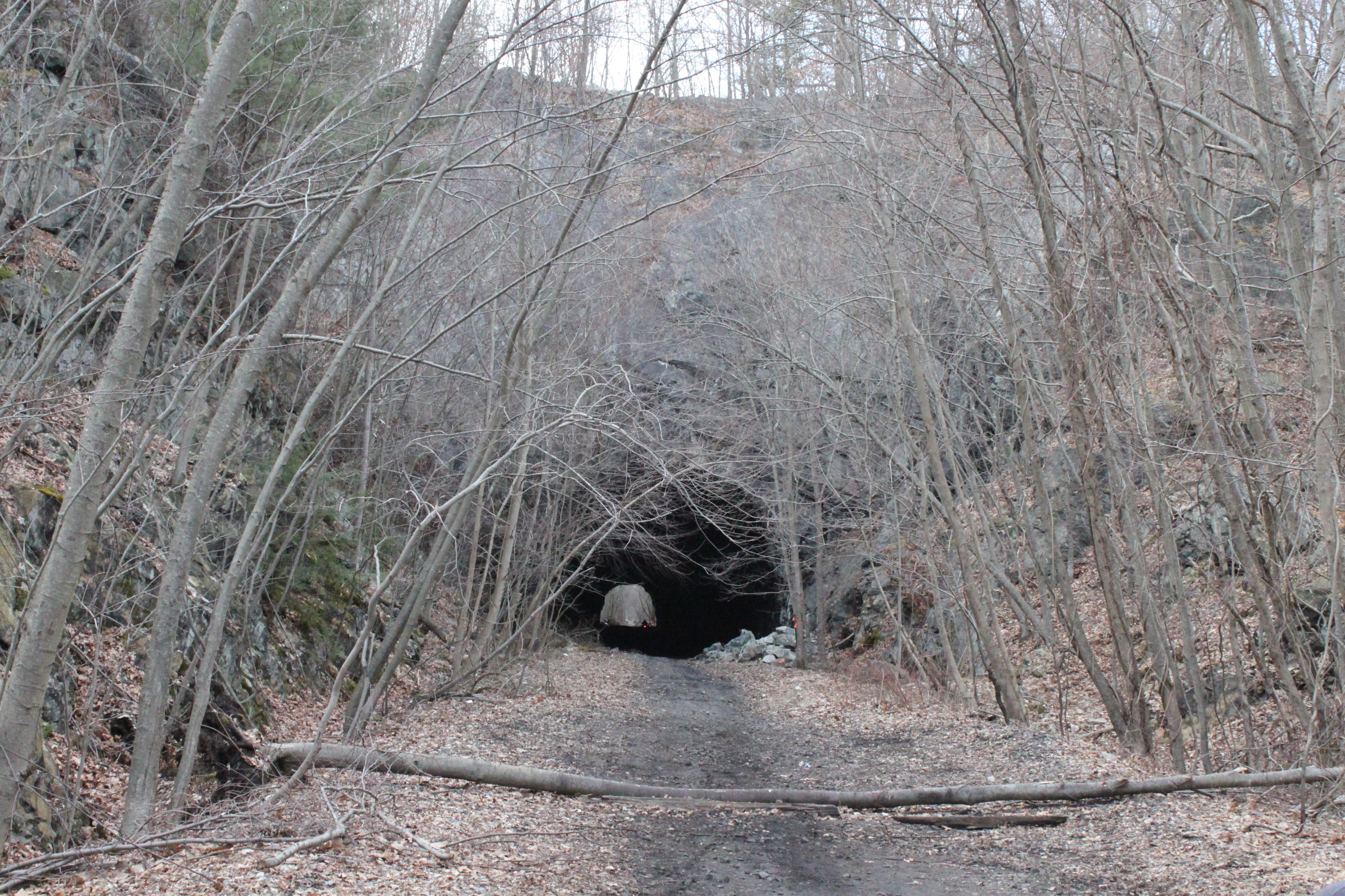 NJ Transit Board Approves Tunnel and Resilience Projects - Vimarsana News