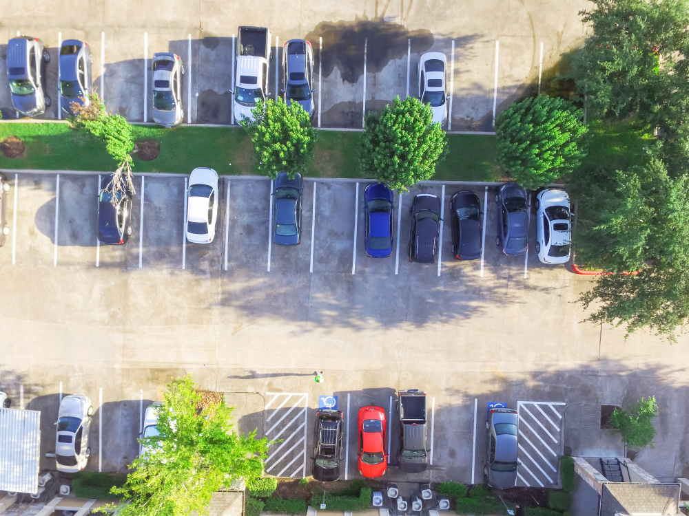 Parking Induces Driving, Study Says - Vimarsana News