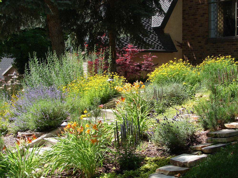 Opinion: It is Time for Reforming Backyards Now Opinion: It is Time for Reforming Backyards Now