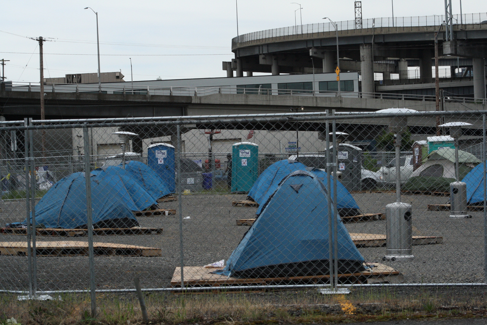 Homelessness During the Pandemic - Vimarsana News