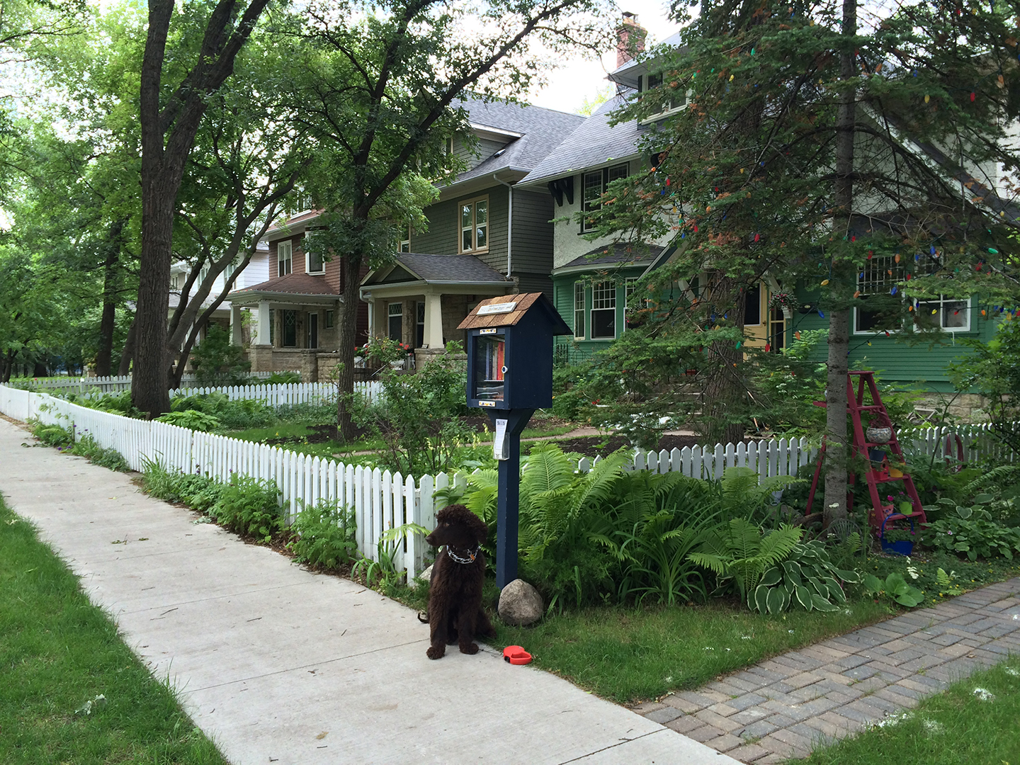 Little Free Library in Crescentwood in Winnipeg, Manitoba. Image Credit: Hazel Borys, Creative Commons ShareAlike License