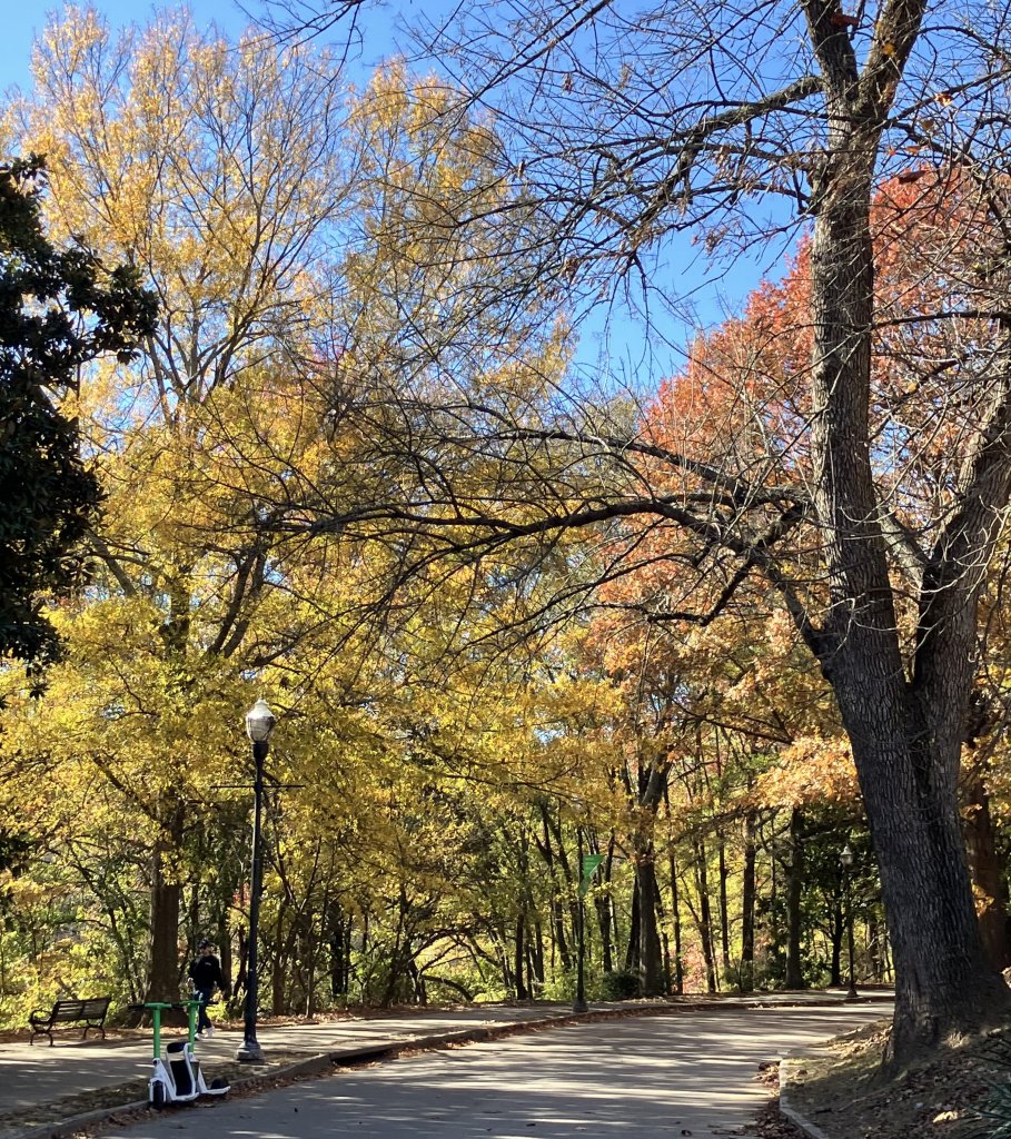 Atlanta’s pretty Piedmont Park.