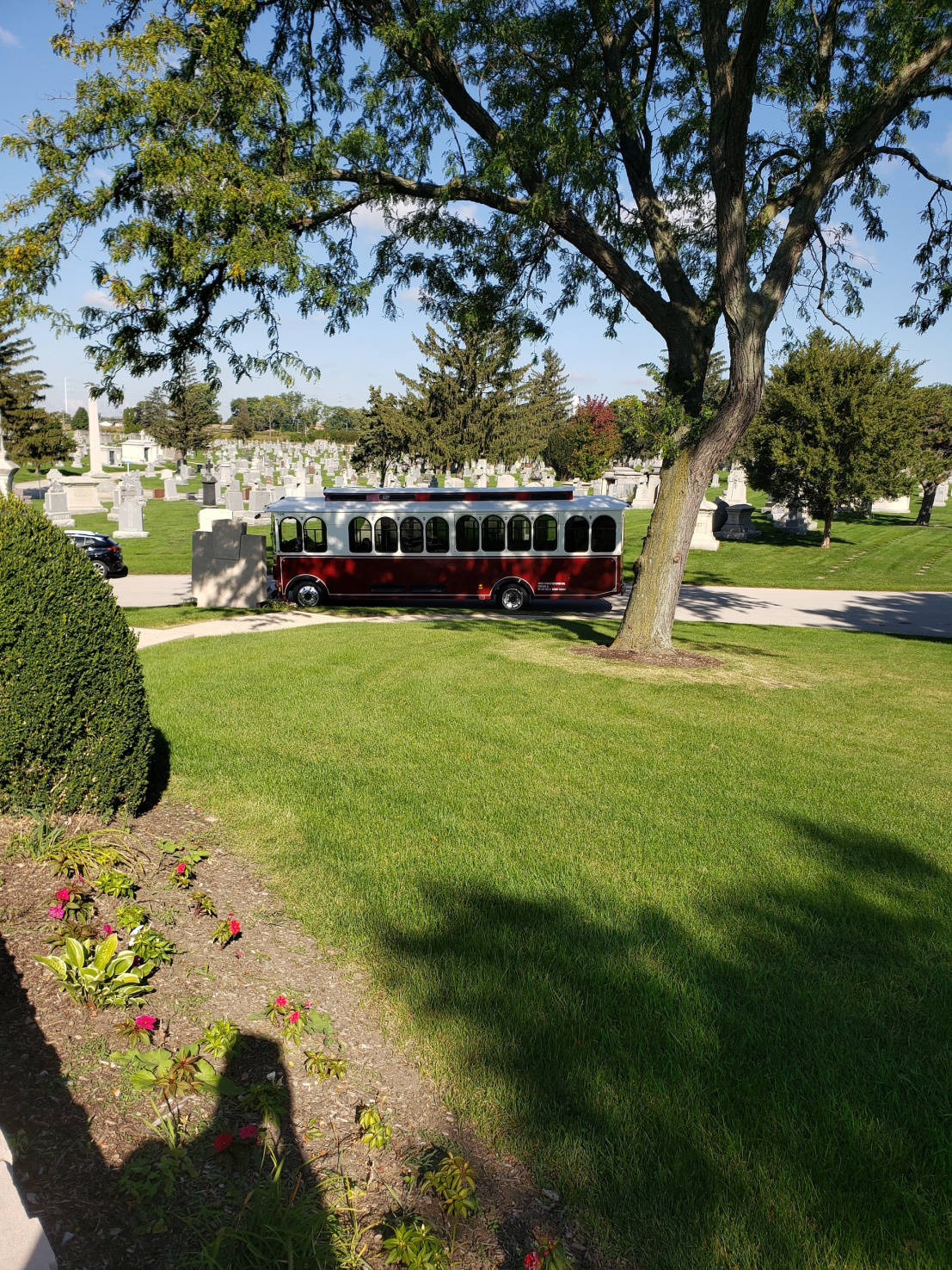 A historical cemetery tour I was chartered for. Fun, if not a little macabre 