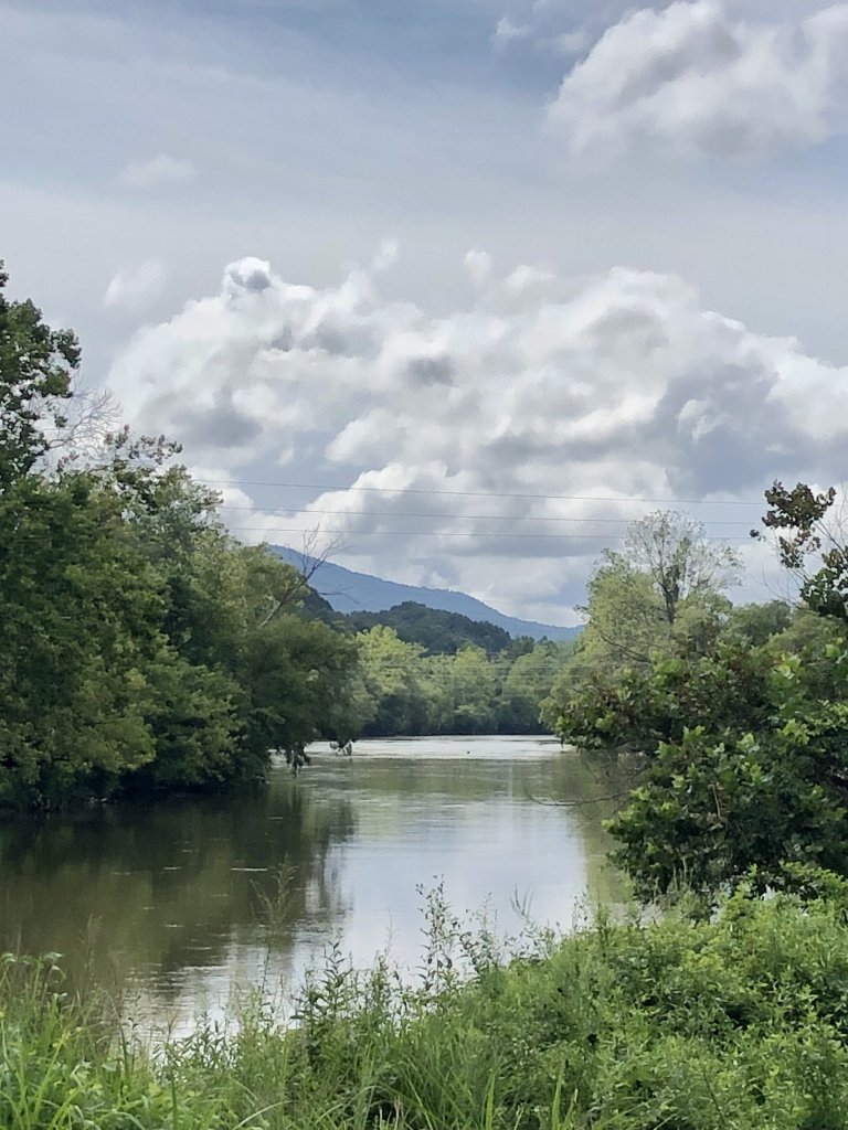 Photos taken in August 2024. Top: the French Broad River and its lush riverbanks. Middle: Carrier Park. Bottom: flowering shrubs and trees.