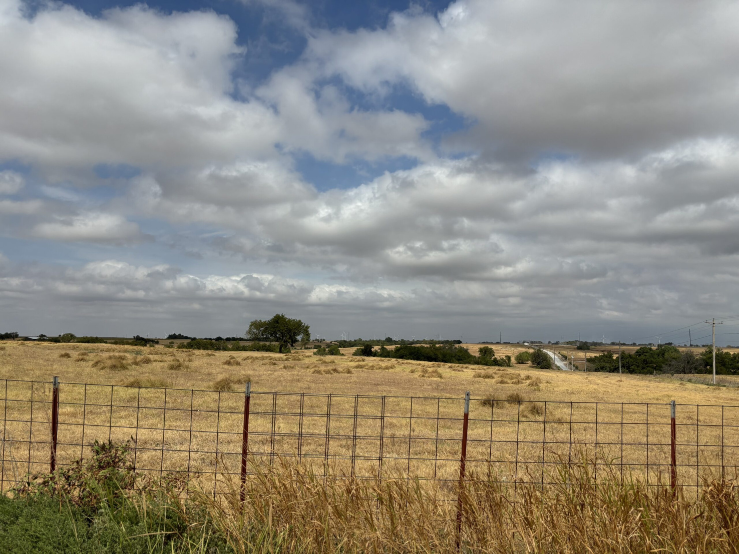 A yellow, grassy field under a cloudy sky. There is a wire fence across the photo.