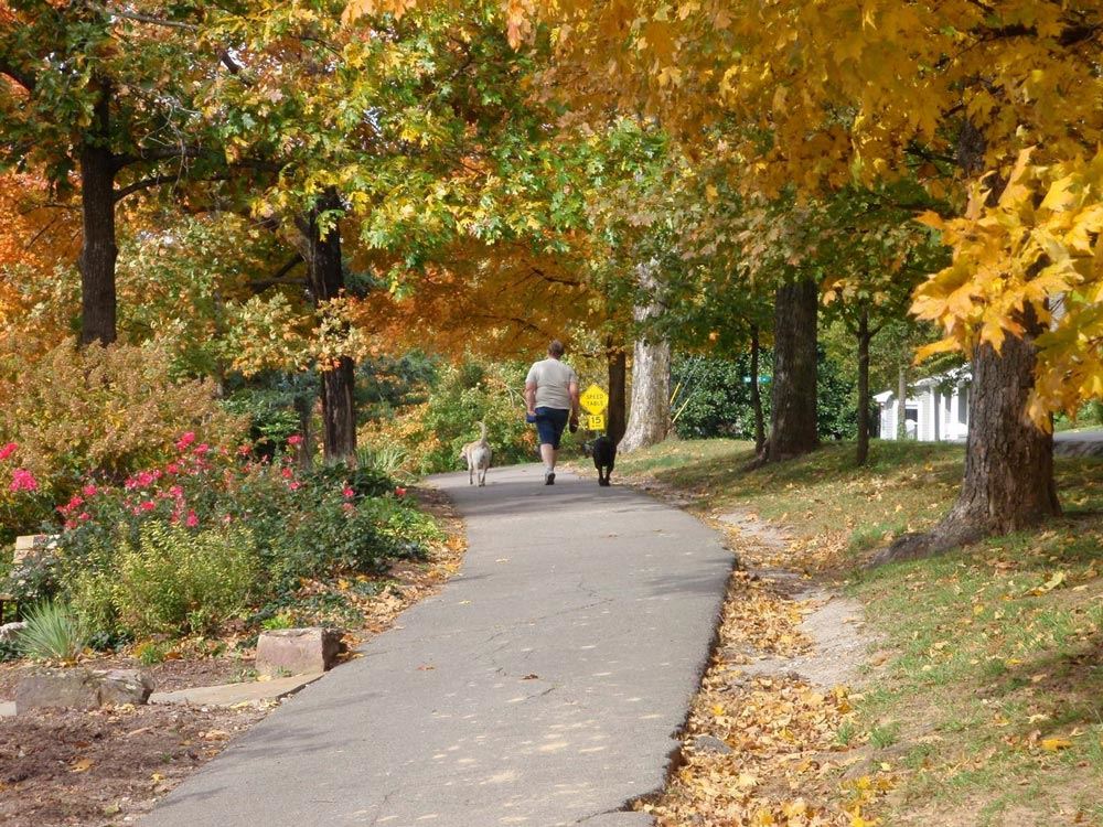 People and dog on trail in Northwest Arkansas surrounded by trees in autumn colors.