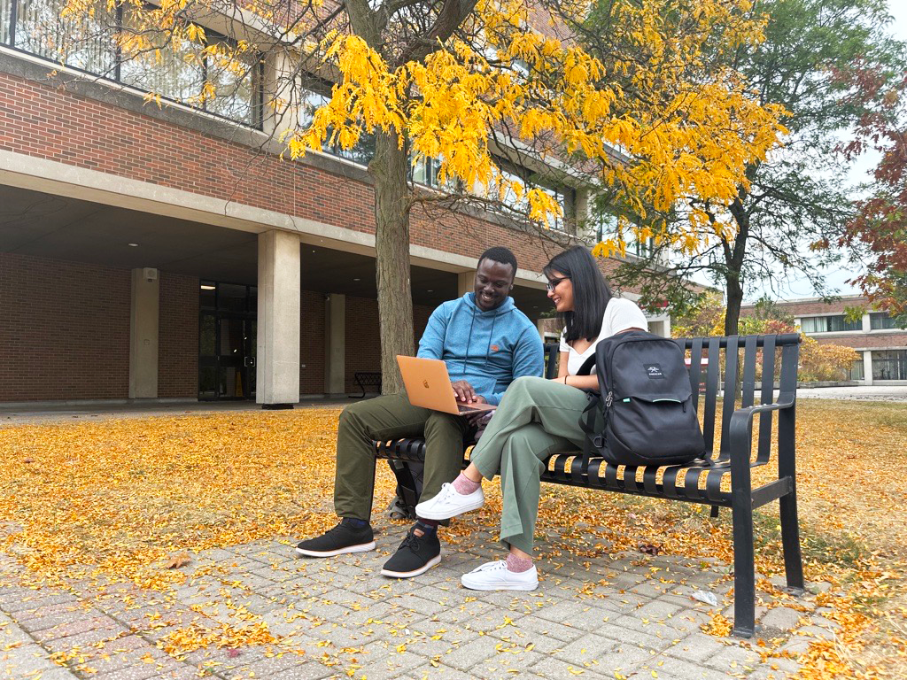 Image of students sitting together and studying on a bench with a tree that has yellow leaves above them