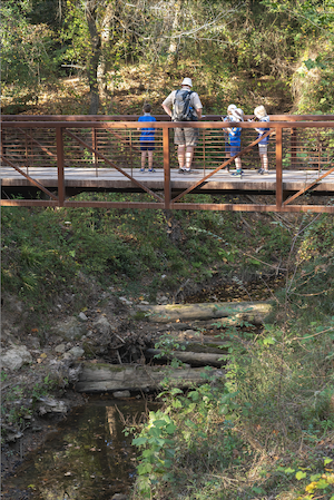 A man and several small children stop on a pedestrian bridge to look around at a natural setting with water running beneath the bridge.