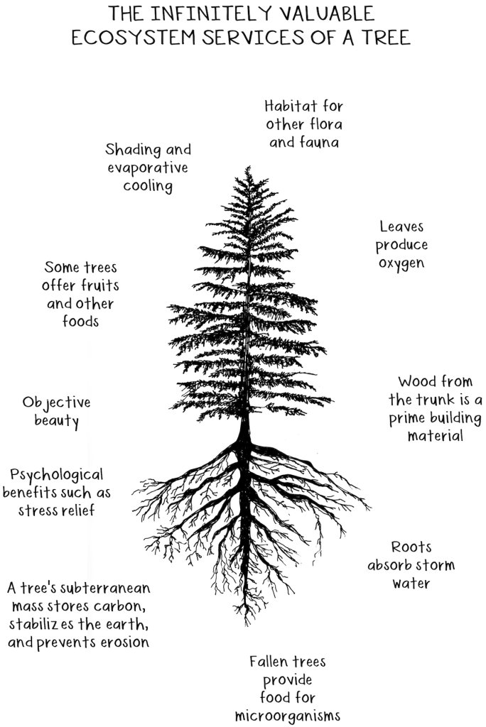 Diagram showing benefits of trees