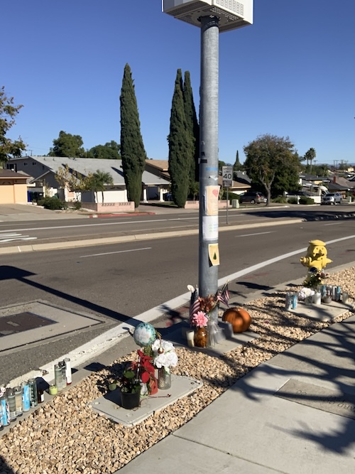 Memorial for Andrew Olson on Jackson Ave. The City installed stop signs after the killing, but the speed limit remains 40mph and has no painted crosswalk.