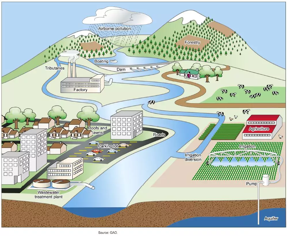 An infographic depcting the various sources of water pollution, like factories, agriculture, and cars.