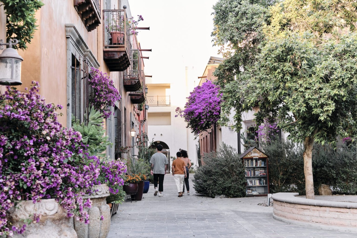 People walking through landscaped walkway in Mercado Distrct, Tucson, AZ.