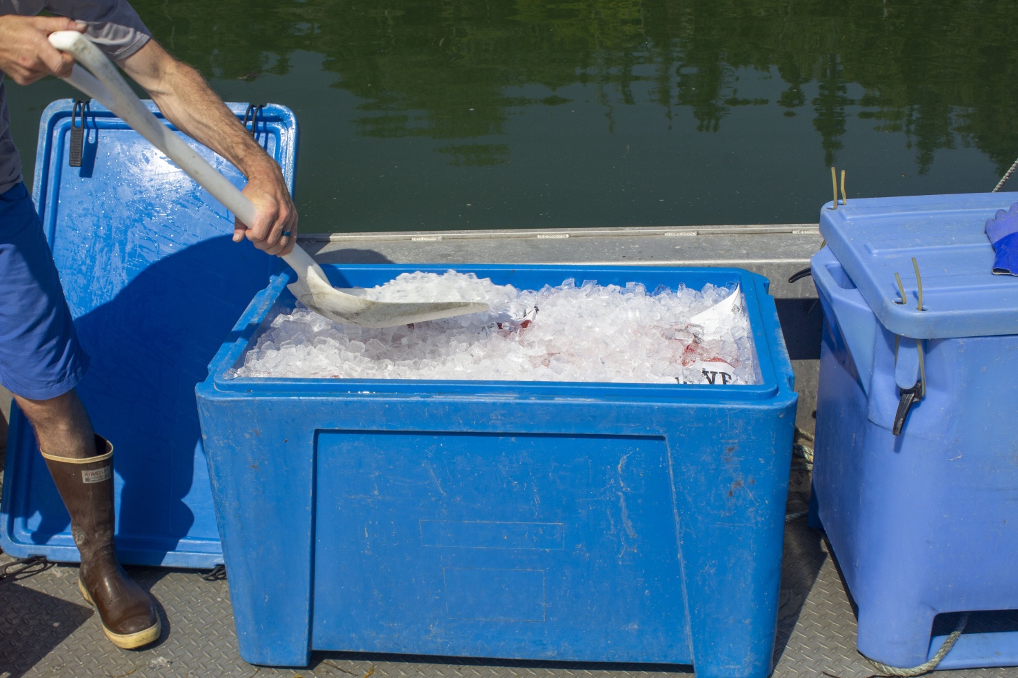 In the summer, oyster farmers use ice to keep their product at low temperatures. At Maine Ocean Farms, Leathers and his crew can load up to 3,500 pounds of oysters and ice in containers onto their electric boat, Heron.