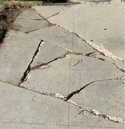 Close-up of cracked sidewalk.