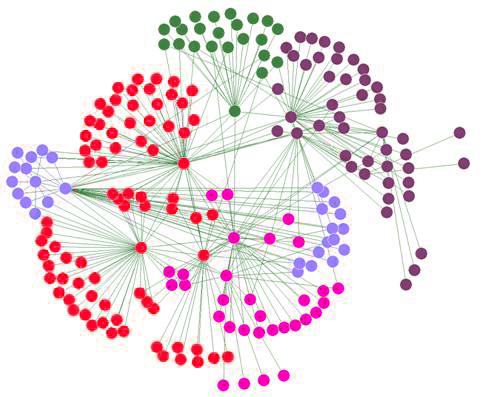 A social network diagram.