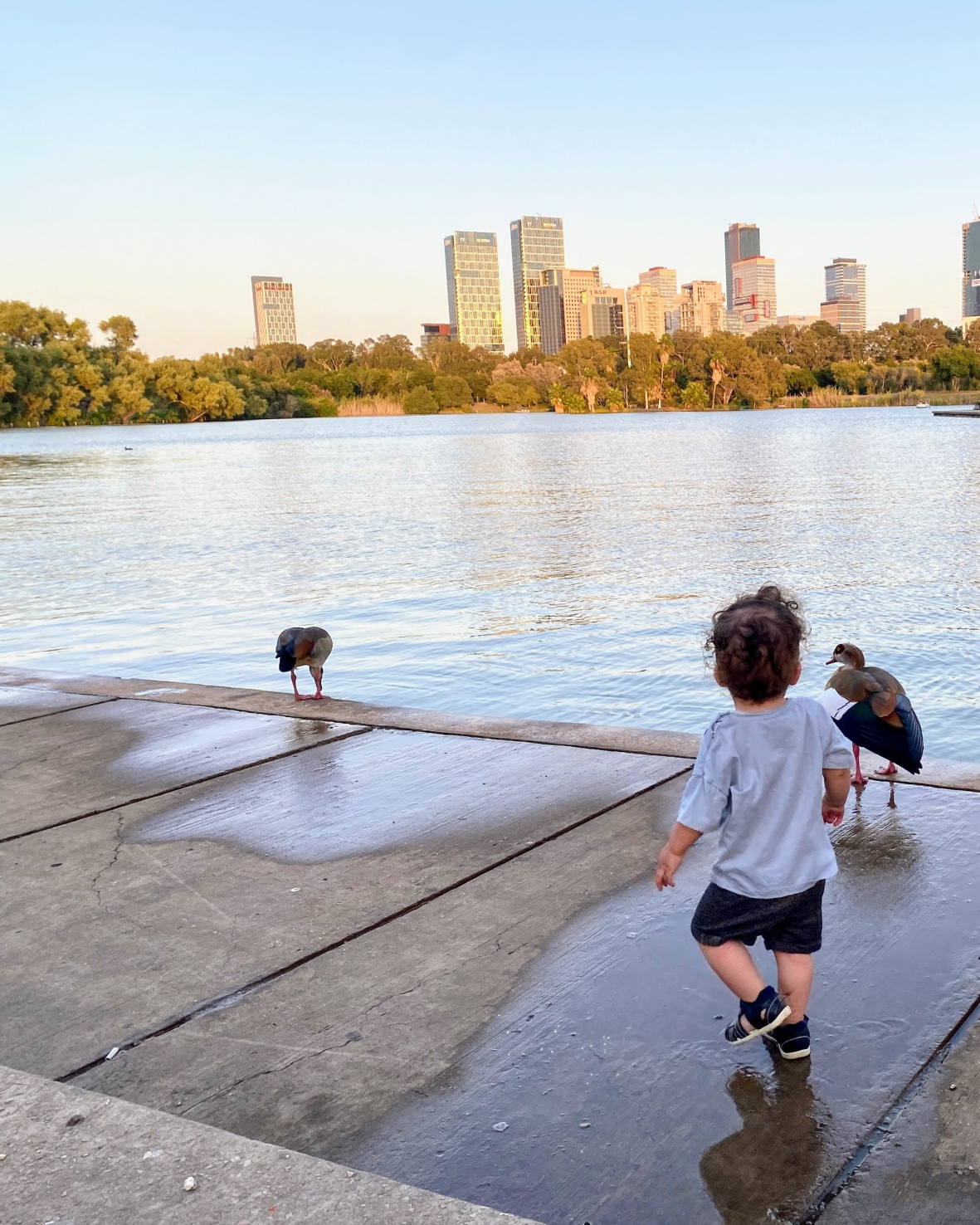Toddler standing next to lake with Boulder skyline in background.