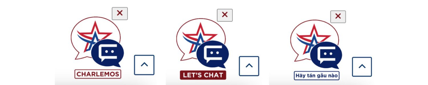Screenshots of chatbots in multiple languages from Texas