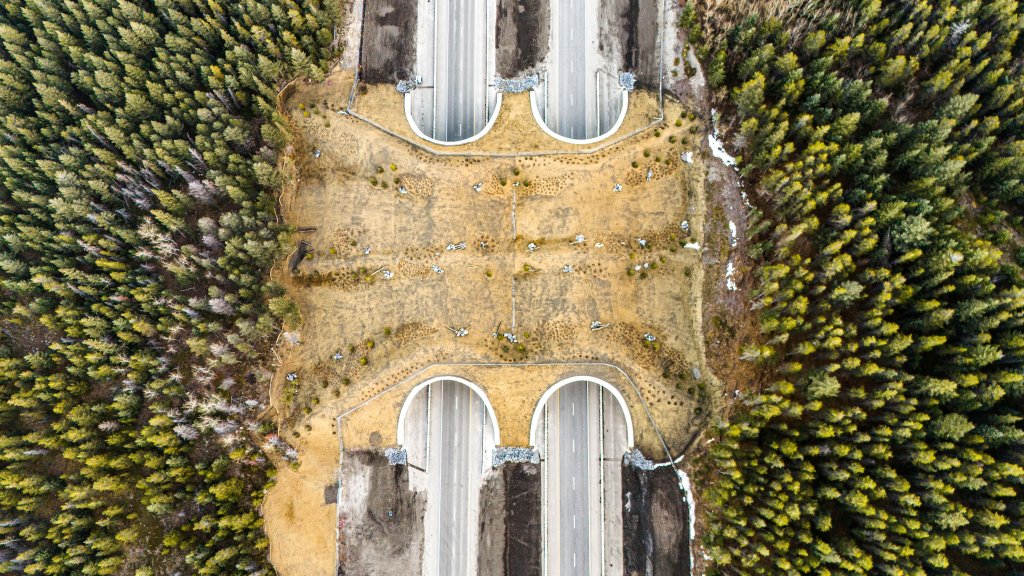 Bird's eye view of wildlife overpass in Banff, Canada.
