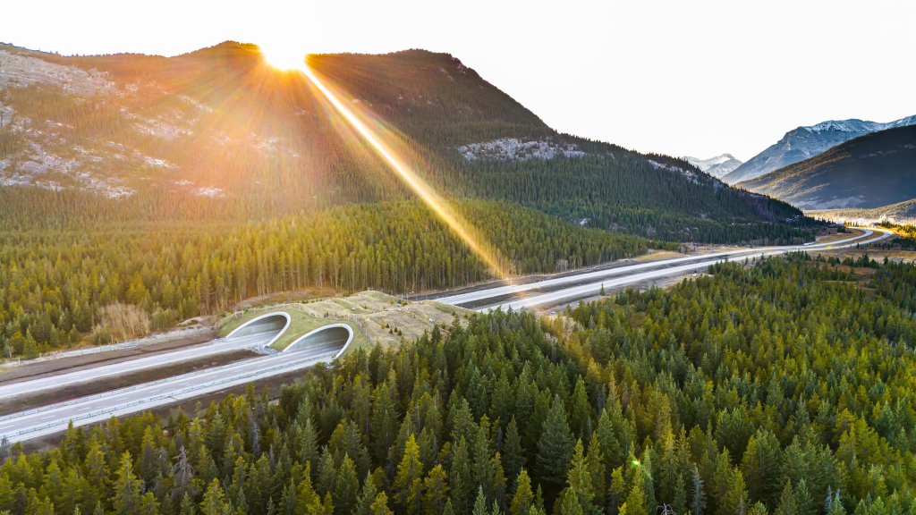 Aerial view of wildlife overpass in Banff, Canada.