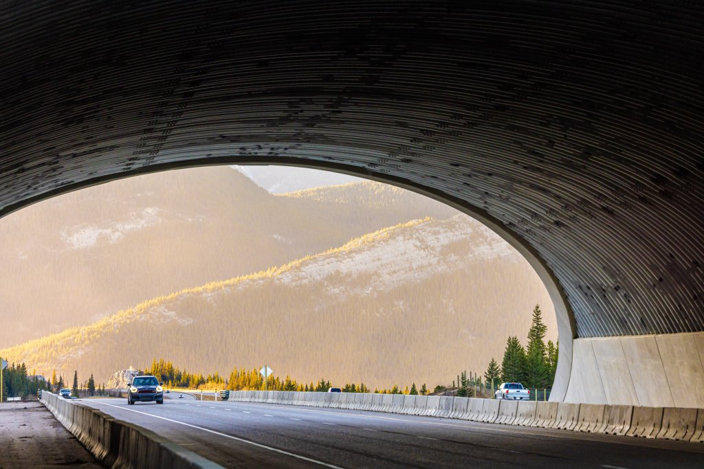 Car entering tunnel under wildlife overpass in Banff, Canada.