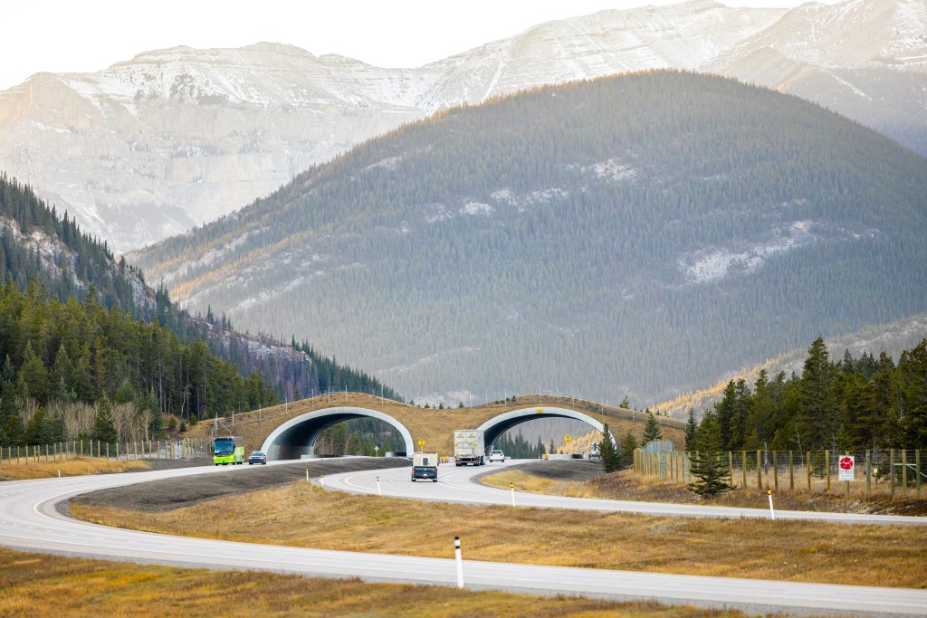 Wildlife overpass in Banff, Canada.