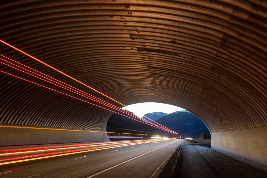 Blurred car taillights in tunnel under wildlife overpass in Banff, Canada.