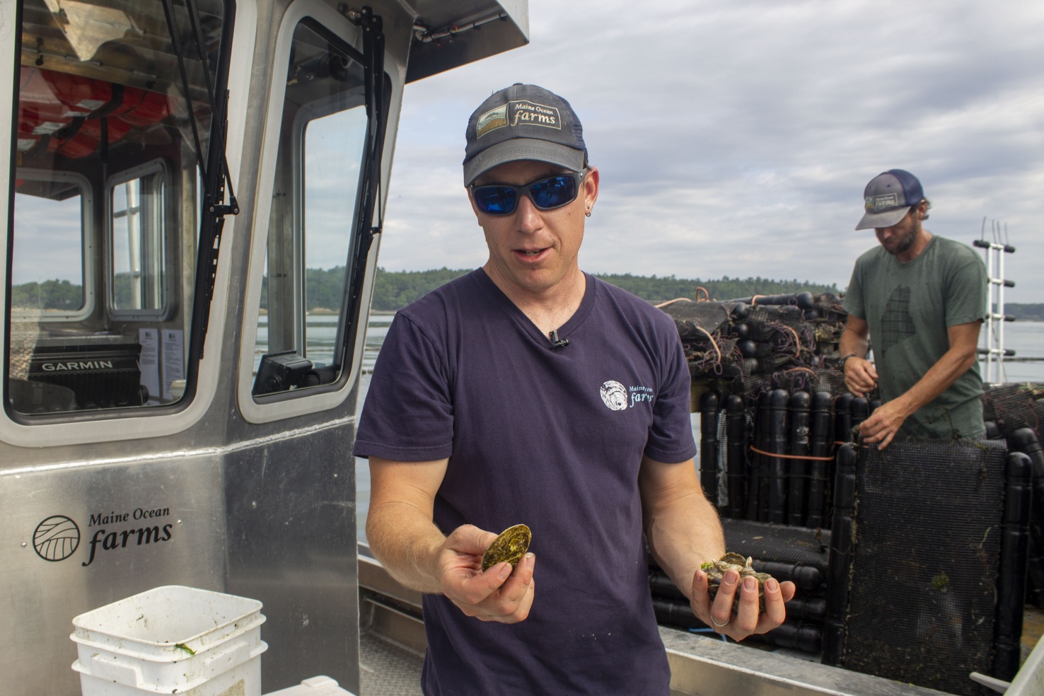 Maine Ocean Farms owner Willy Leathers (left) handles what he calls "product": three year old oysters ready for market. Fellow farmer and co-founder Eric Oransky (right) prepares to sort the mesh bag cages where the oysters grow.