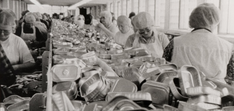 Fish canning factory workers on line.