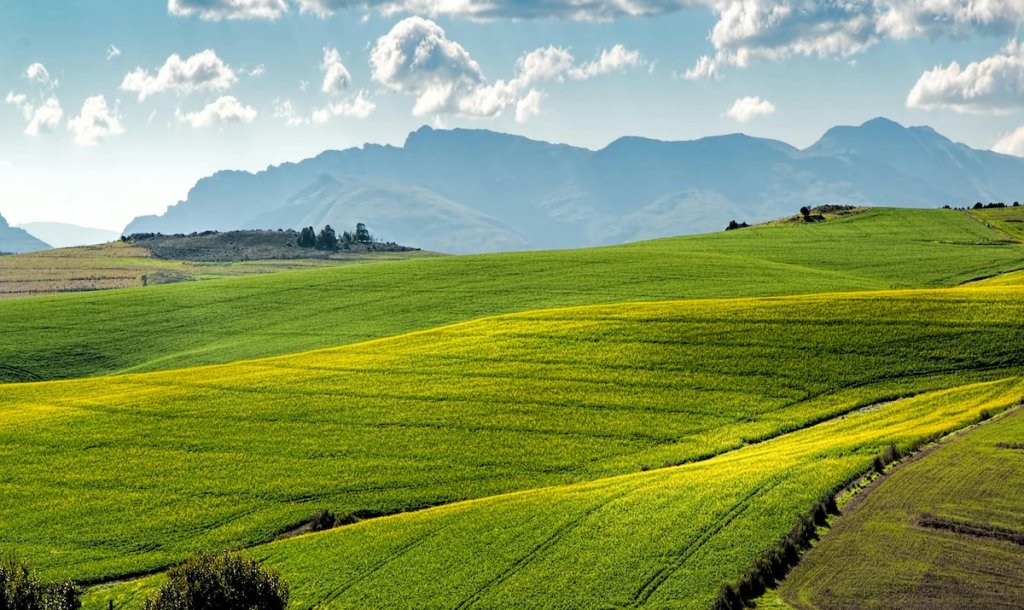 Rolling green fields.