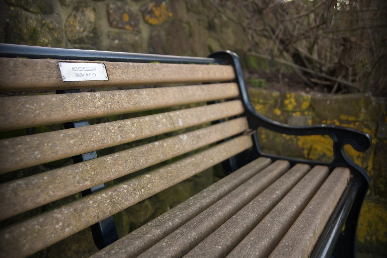 Close-up on memorial bench in park with silver plaque reading "Remembering Mum & Dad."