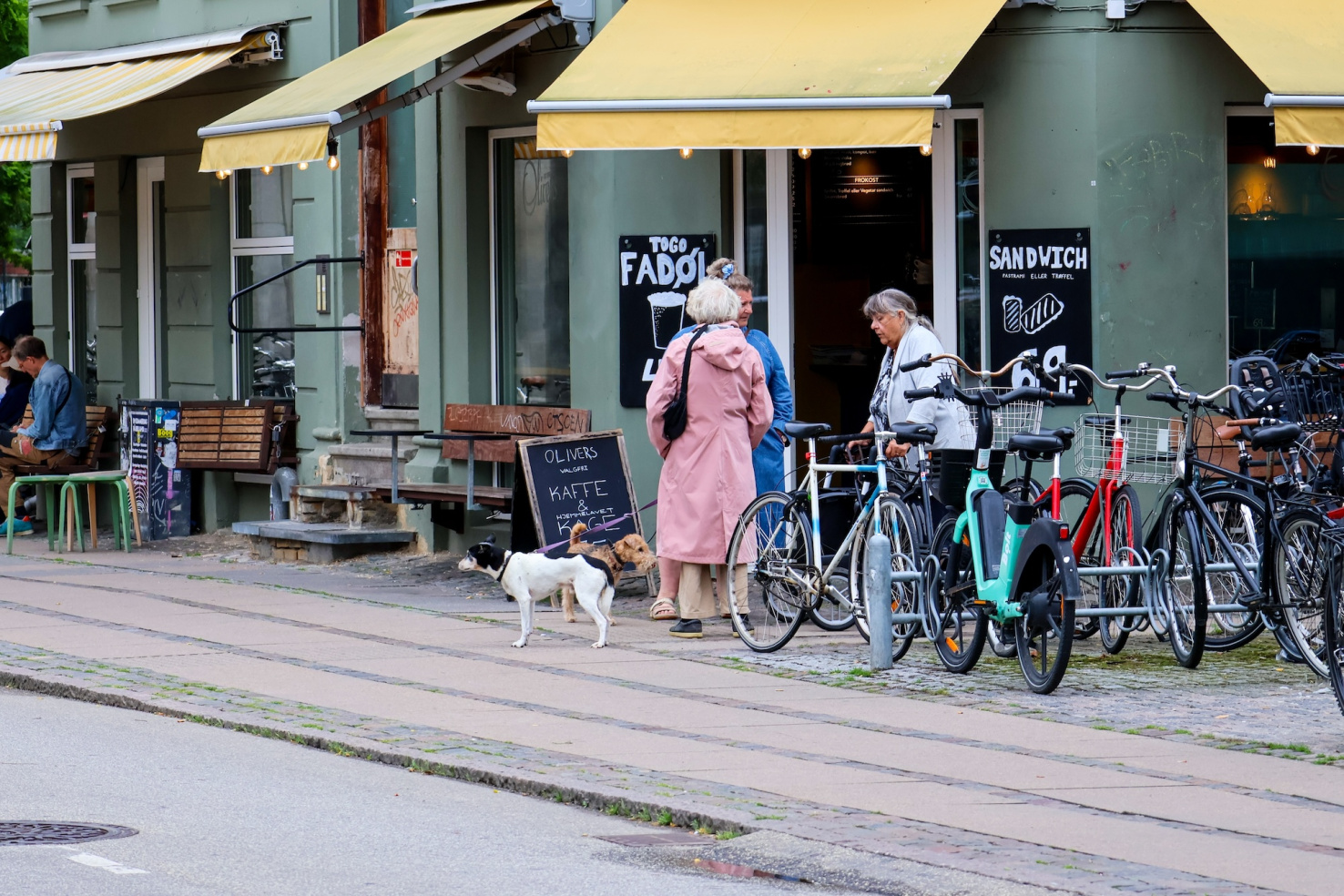  elderly women chatting outside a local café with their dogs. Bicycles are parked nearby, and handwritten chalkboard menus advertise coffee and sandwiches. ".