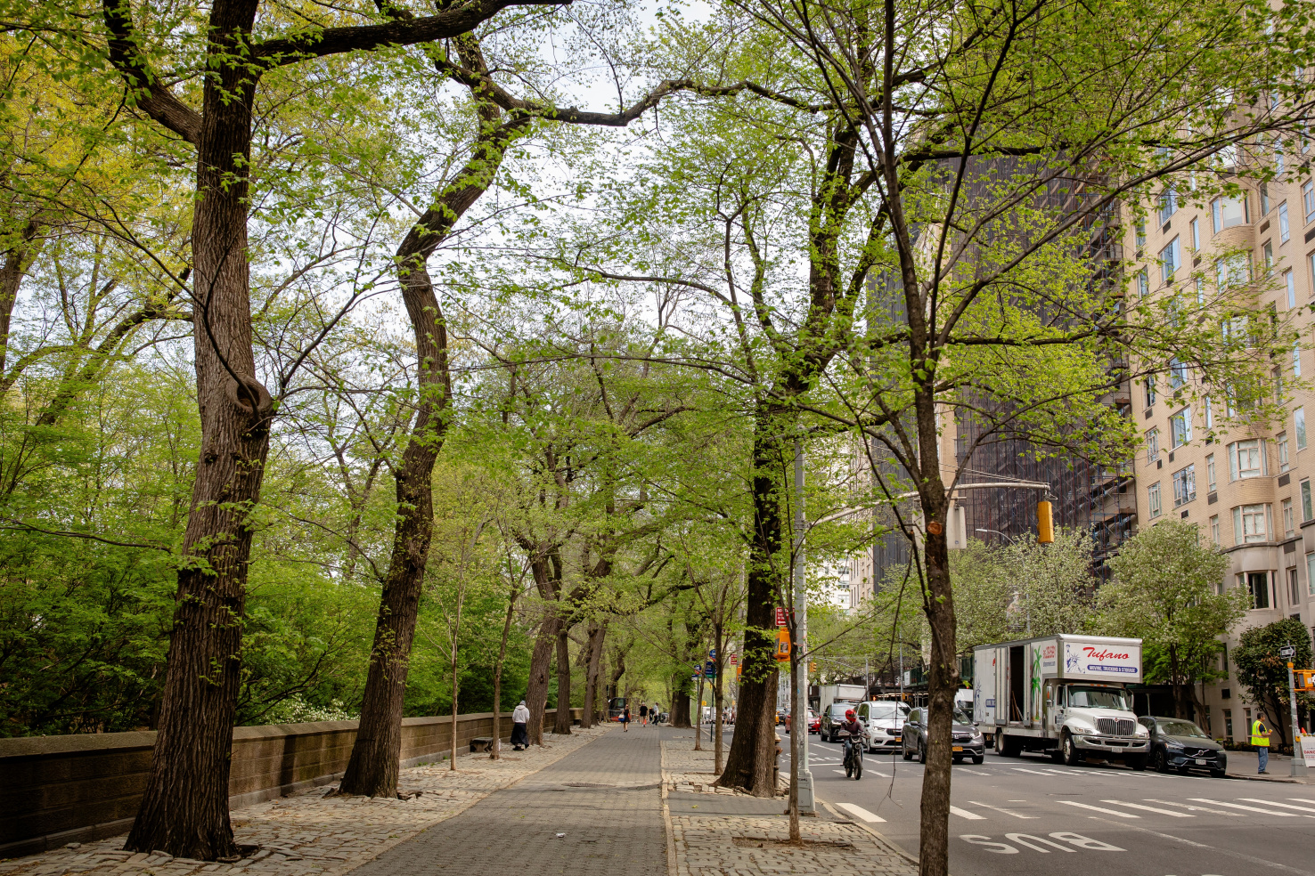 Trees line a walkway in NYC, which is parallel to the road.
