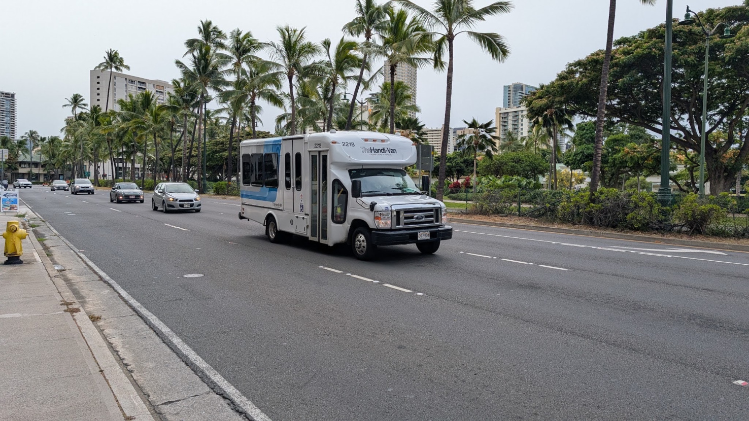 A paratransit bus on a palm tree lined road.