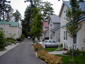 Small Alley Behind Homes