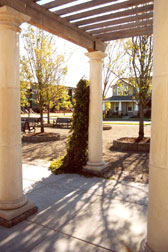 Central park