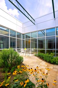 An interior plaza.